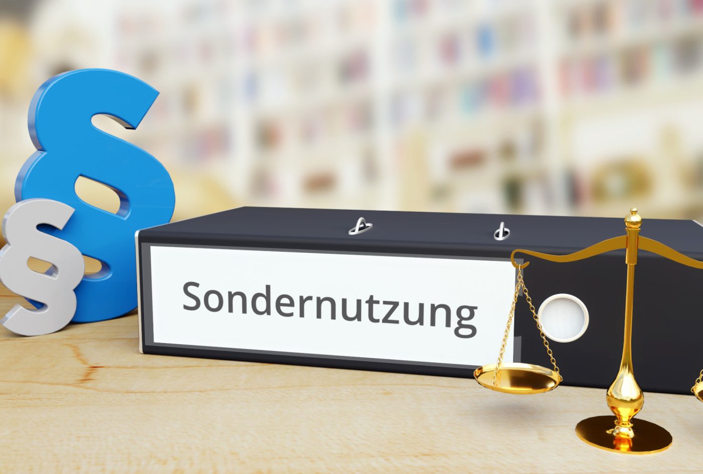 Sondernutzungsrecht